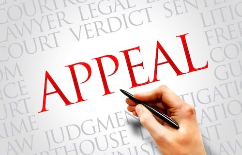 criminal appeal